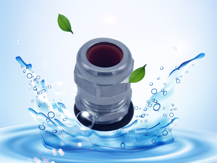 卡套铠装格兰头